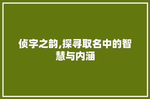 侦字之韵,探寻取名中的智慧与内涵
