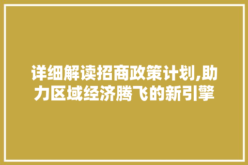 详细解读招商政策计划,助力区域经济腾飞的新引擎