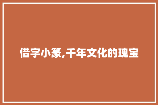 借字小篆,千年文化的瑰宝