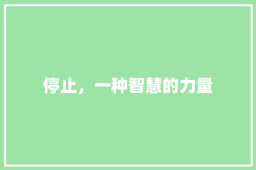 停止，一种智慧的力量