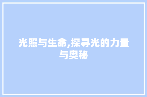 光照与生命,探寻光的力量与奥秘