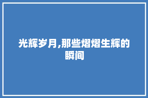 光辉岁月,那些熠熠生辉的瞬间
