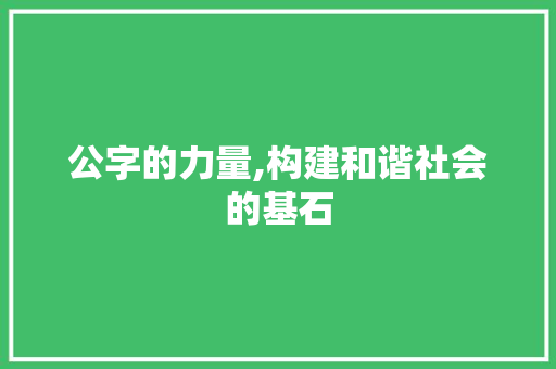 公字的力量,构建和谐社会的基石