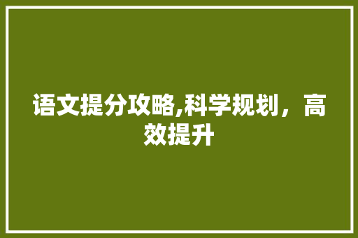 语文提分攻略,科学规划，高效提升