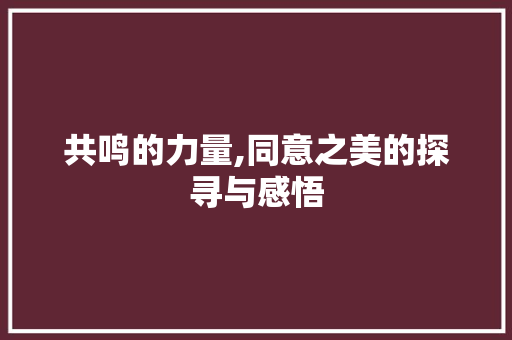 共鸣的力量,同意之美的探寻与感悟