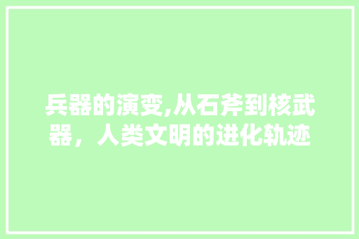 兵器的演变,从石斧到核武器，人类文明的进化轨迹