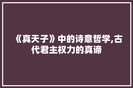 《真天子》中的诗意哲学,古代君主权力的真谛 成语汇编