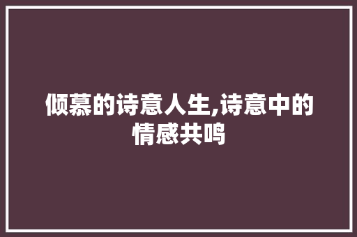 倾慕的诗意人生,诗意中的情感共鸣 诗词佳句