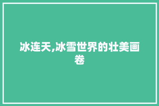 冰连天,冰雪世界的壮美画卷 近义词汇