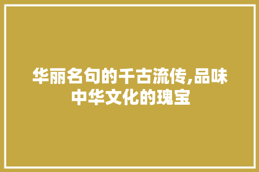 华丽名句的千古流传,品味中华文化的瑰宝 近义词汇