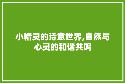 小精灵的诗意世界,自然与心灵的和谐共鸣
