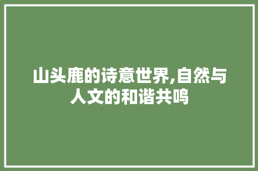 山头鹿的诗意世界,自然与人文的和谐共鸣 近义词汇