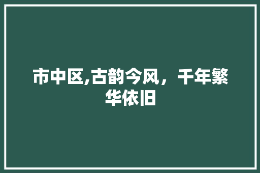 市中区,古韵今风，千年繁华依旧 反义词汇