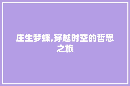 庄生梦蝶,穿越时空的哲思之旅