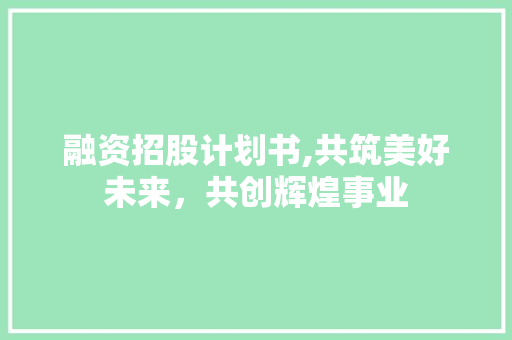 融资招股计划书,共筑美好未来，共创辉煌事业