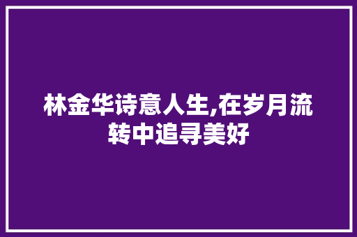 林金华诗意人生,在岁月流转中追寻美好 成语汇编