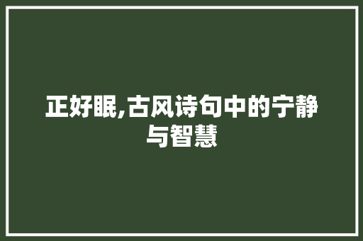 正好眠,古风诗句中的宁静与智慧
