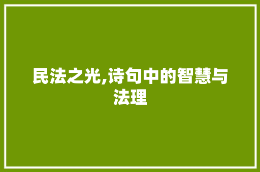 民法之光,诗句中的智慧与法理