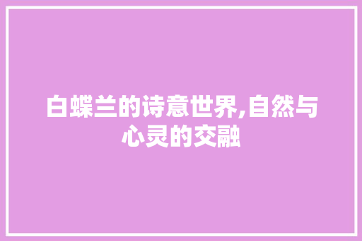 白蝶兰的诗意世界,自然与心灵的交融 成语汇编