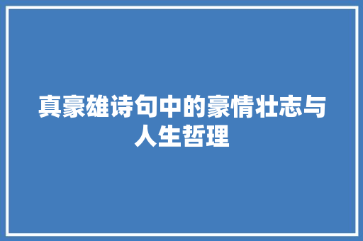 真豪雄诗句中的豪情壮志与人生哲理 近义词汇