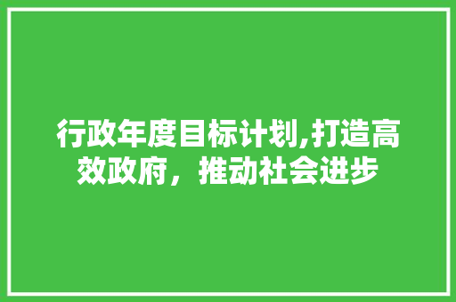 行政年度目标计划,打造高效政府，推动社会进步
