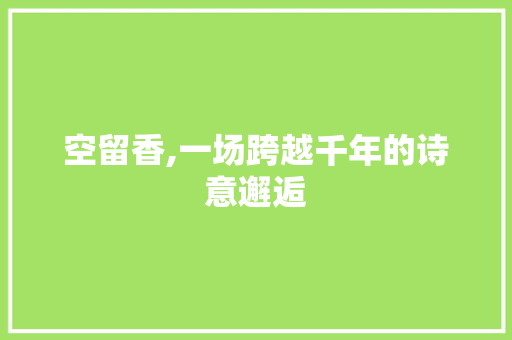 空留香,一场跨越千年的诗意邂逅