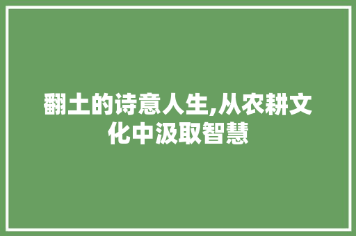 翻土的诗意人生,从农耕文化中汲取智慧