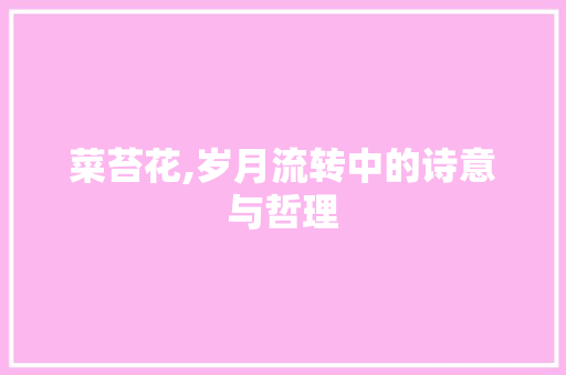 菜苔花,岁月流转中的诗意与哲理 反义词汇