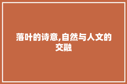 落叶的诗意,自然与人文的交融