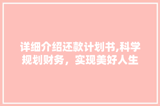 详细介绍还款计划书,科学规划财务，实现美好人生