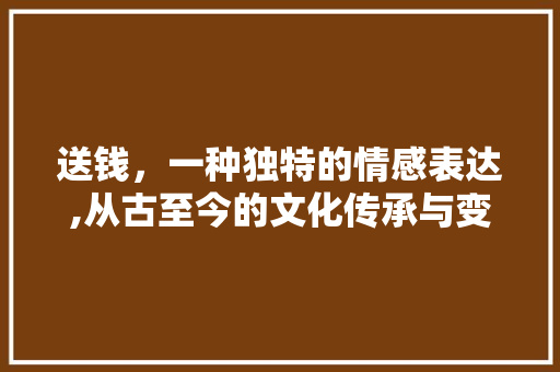 送钱，一种独特的情感表达,从古至今的文化传承与变迁