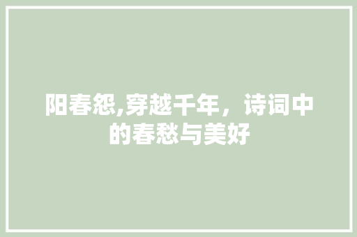 阳春怨,穿越千年，诗词中的春愁与美好