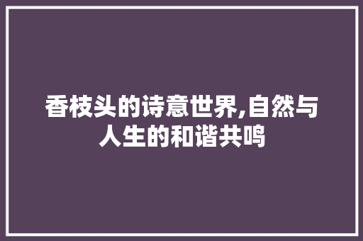 香枝头的诗意世界,自然与人生的和谐共鸣 问答