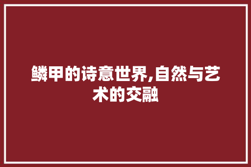 鳞甲的诗意世界,自然与艺术的交融