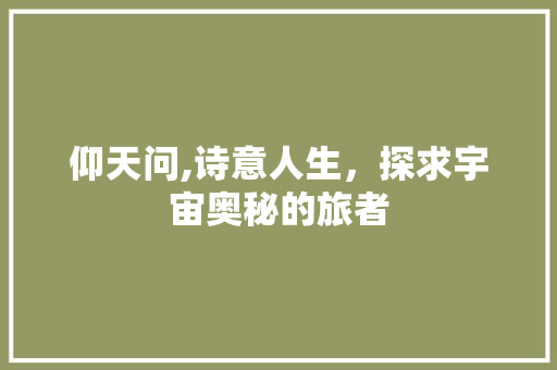 仰天问,诗意人生，探求宇宙奥秘的旅者