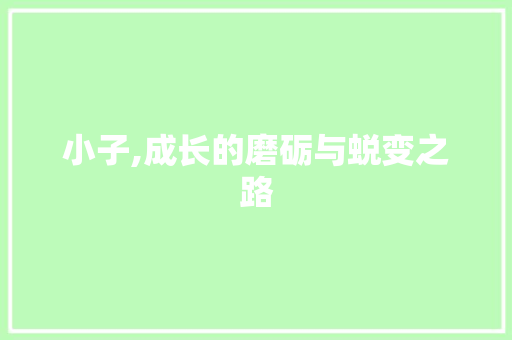 小子,成长的磨砺与蜕变之路