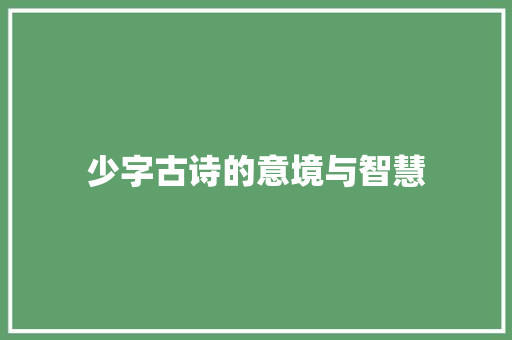 少字古诗的意境与智慧