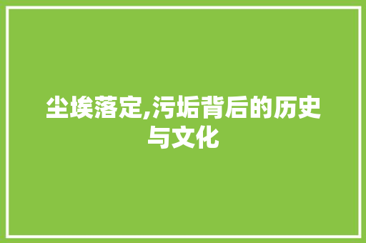 尘埃落定,污垢背后的历史与文化