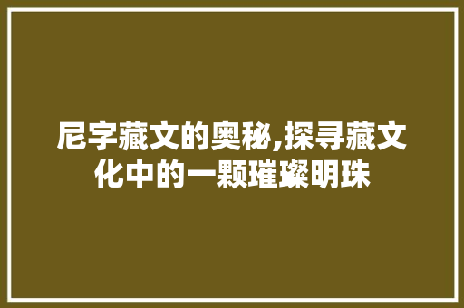 尼字藏文的奥秘,探寻藏文化中的一颗璀璨明珠 诗词佳句