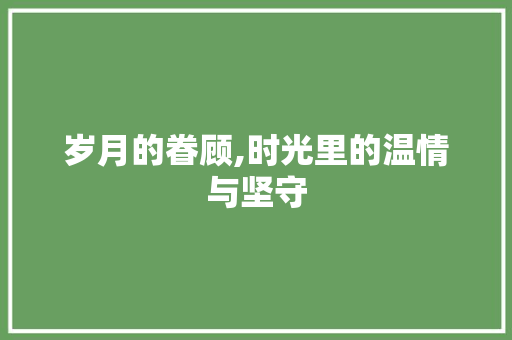 岁月的眷顾,时光里的温情与坚守