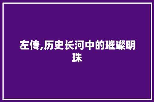 左传,历史长河中的璀璨明珠