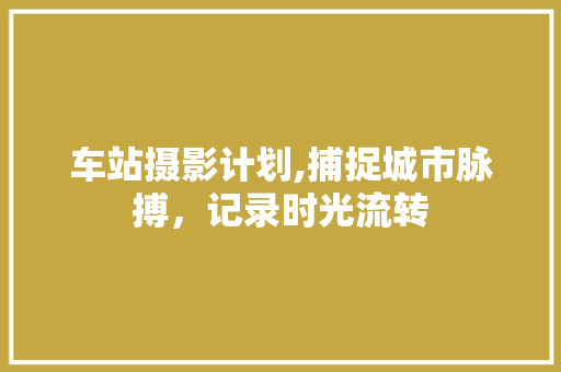 车站摄影计划,捕捉城市脉搏，记录时光流转 反义词汇