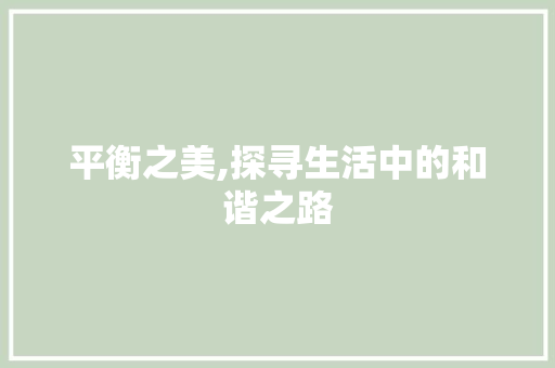平衡之美,探寻生活中的和谐之路