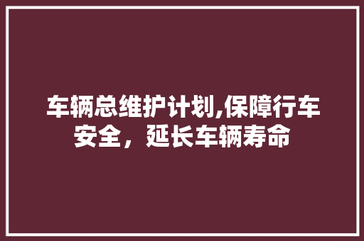 车辆总维护计划,保障行车安全，延长车辆寿命 成语汇编