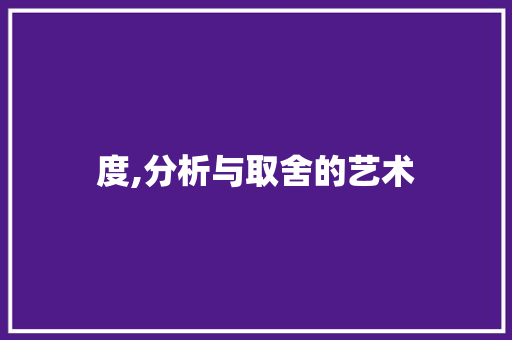 度,分析与取舍的艺术