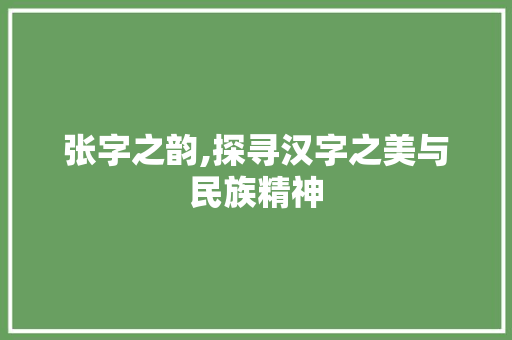 张字之韵,探寻汉字之美与民族精神