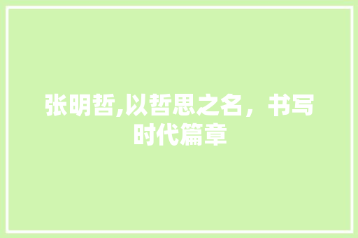 张明哲,以哲思之名，书写时代篇章