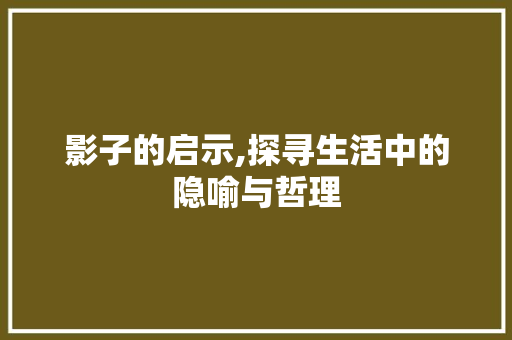 影子的启示,探寻生活中的隐喻与哲理