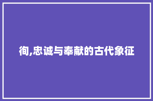 徇,忠诚与奉献的古代象征