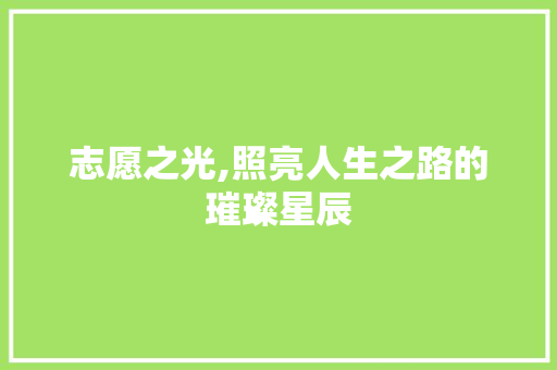 志愿之光,照亮人生之路的璀璨星辰